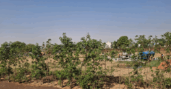INDUSTRIAL PLOT FOR SALE IMT MANESAR GURGAON