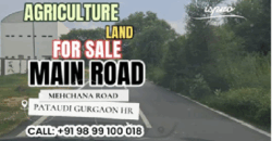 AGRICULTURE LAND FOR SALE PATAUDI GURGAON