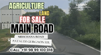 AGRICULTURE LAND FOR SALE PATAUDI GURGAON