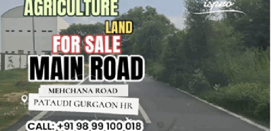 AGRICULTURE LAND FOR SALE PATAUDI GURGAON