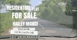 RESIDENTIAL PLOT FOR SALE HAILI MANDI PATAUDI GURGAON
