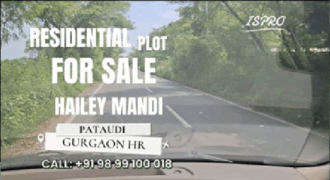 RESIDENTIAL PLOT FOR SALE HAILI MANDI PATAUDI GURGAON