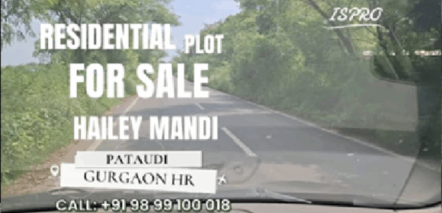RESIDENTIAL PLOT FOR SALE HAILI MANDI PATAUDI GURGAON
