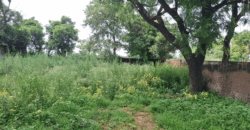 AGRICULTURE LAND FOR SALE PATAUDI GURGAON