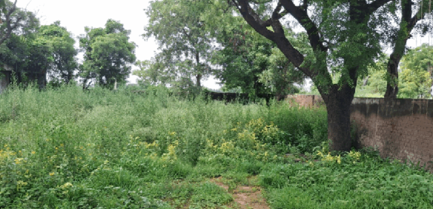 AGRICULTURE LAND FOR SALE PATAUDI GURGAON