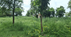 AGRICULTURE LAND FOR SALE PATAUDI GURGAON