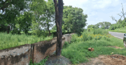 AGRICULTURE LAND FOR SALE PATAUDI GURGAON