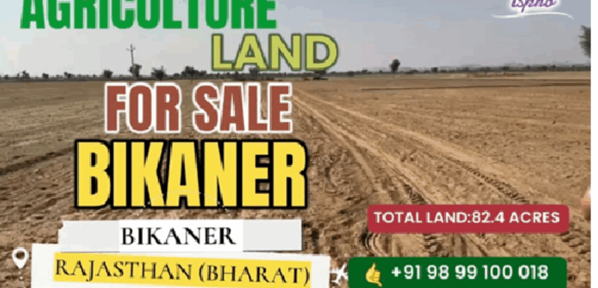 AGRICULTURE LAND FOR SALE BIKANER RAJ