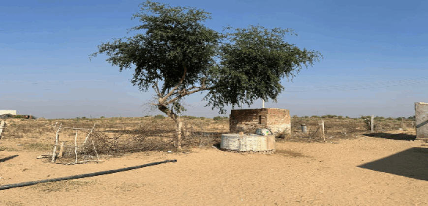 AGRICULTURE LAND FOR SALE BIKANER RAJ