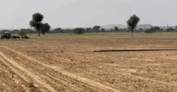 AGRICULTURE LAND FOR SALE BIKANER RAJ