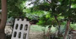 PLOT FOR SALE SEC 105 GURGAON