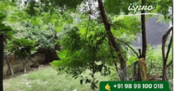 PLOT FOR SALE SEC 105 GURGAON