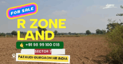 R ZONE LAND FOR SALE PATAUDI GURGAON HR