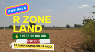 R ZONE LAND FOR SALE PATAUDI GURGAON HR
