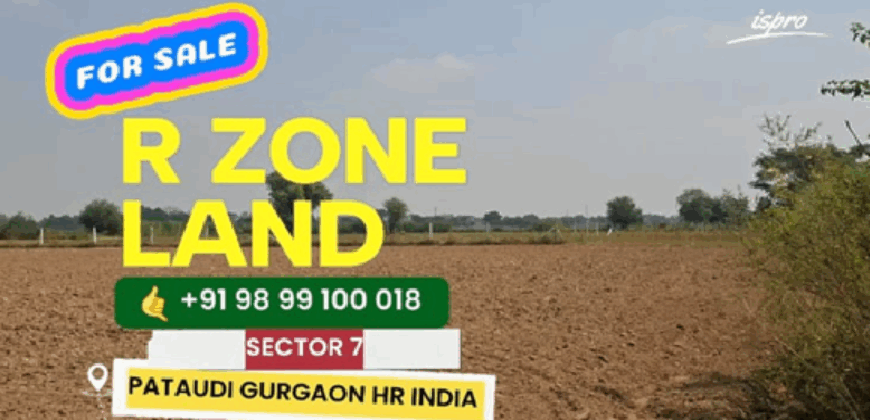 R ZONE LAND FOR SALE PATAUDI GURGAON HR