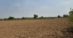 R ZONE LAND FOR SALE PATAUDI GURGAON HR