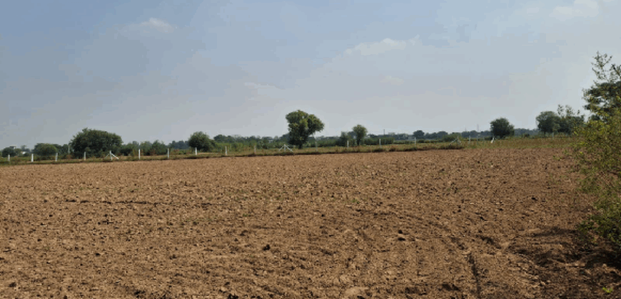 R ZONE LAND FOR SALE PATAUDI GURGAON HR