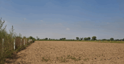 R ZONE LAND FOR SALE PATAUDI GURGAON HR