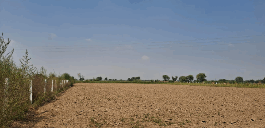 R ZONE LAND FOR SALE PATAUDI GURGAON HR