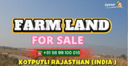 FARM LAND FOR SALE KOTPUTLI RAJASTHAN