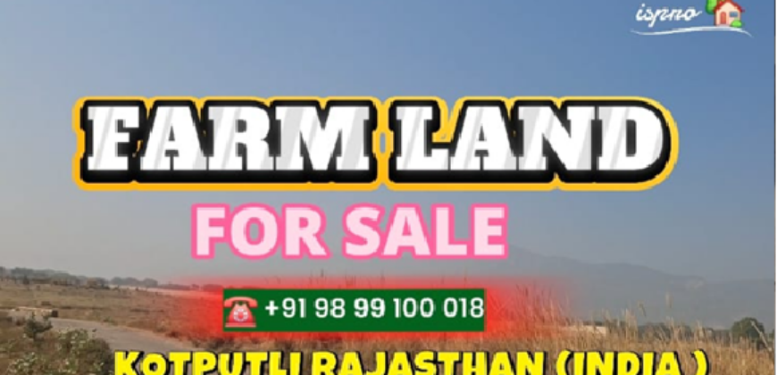 FARM LAND FOR SALE KOTPUTLI RAJASTHAN