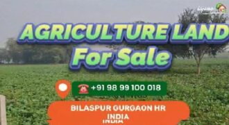 AGGRICULTURE LAND FOR SALE GURGAON HR