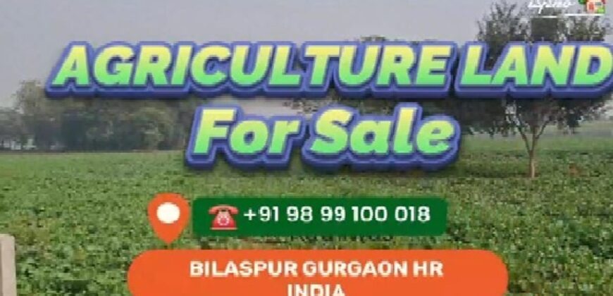 AGGRICULTURE LAND FOR SALE GURGAON HR