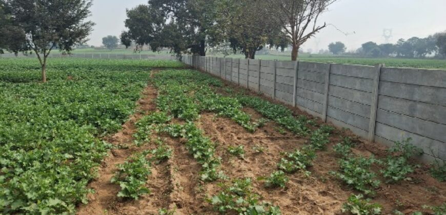 AGGRICULTURE LAND FOR SALE GURGAON HR
