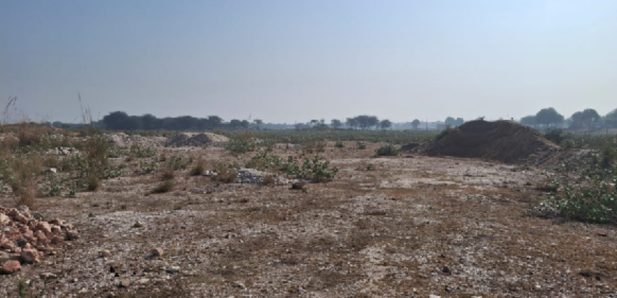 FARM LAND FOR SALE KOTPUTLI RAJASTHAN