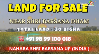 AGRICULTURE LAND FOR SALE SHRI BARSANA UP