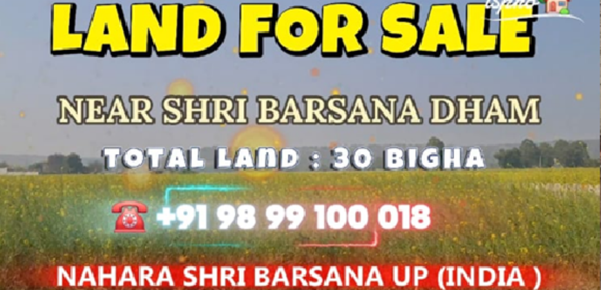 AGRICULTURE LAND FOR SALE SHRI BARSANA UP