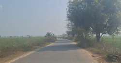 AGRICULTURE LAND FOR SALE SHRI BARSANA UP