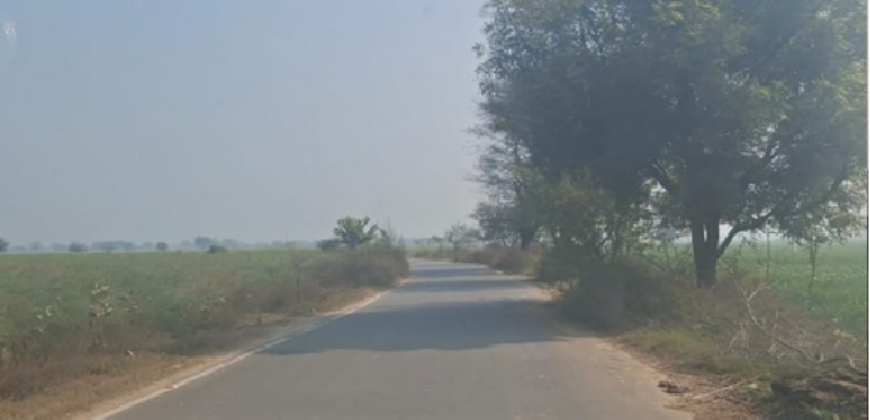 AGRICULTURE LAND FOR SALE SHRI BARSANA UP