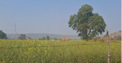 AGRICULTURE LAND FOR SALE SHRI BARSANA UP