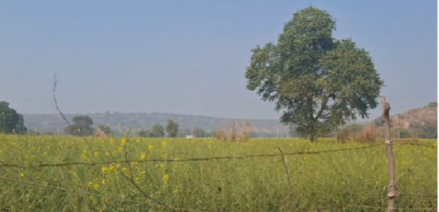 AGRICULTURE LAND FOR SALE SHRI BARSANA UP