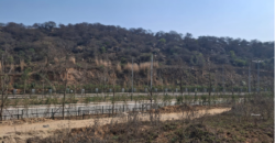 PLOT FOR SALE SPR 78 GURGAON