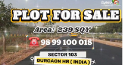 PLOT FOR SALE 103 DXP GURGAON