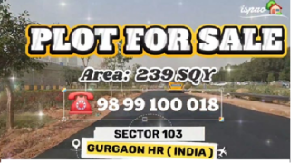 PLOT FOR SALE 103 DXP GURGAON
