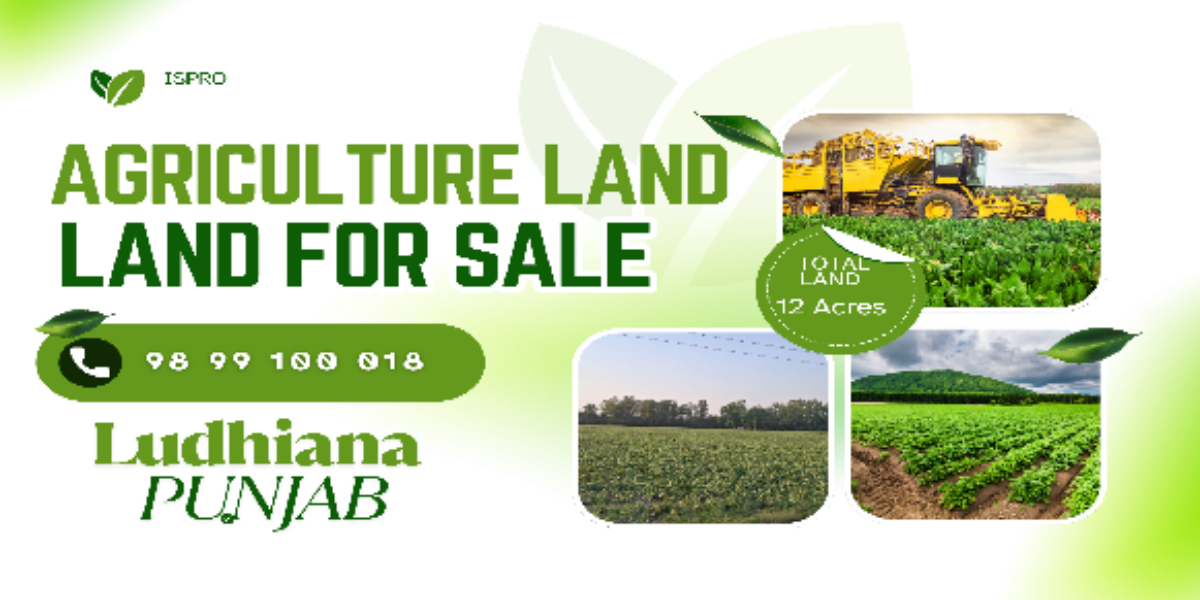 AGRICULTURE LAND FOR SALE LUDHIANA PNB