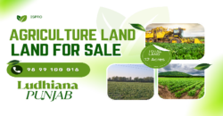 AGRICULTURE LAND FOR SALE LUDHIANA PNB