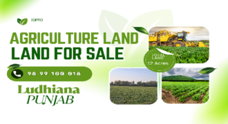 AGRICULTURE LAND FOR SALE LUDHIANA PNB