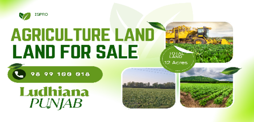 AGRICULTURE LAND FOR SALE LUDHIANA PNB