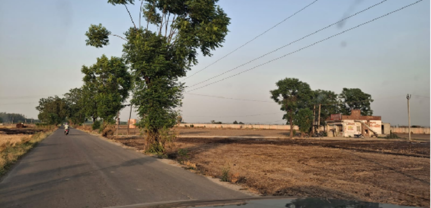 AGRICULTURE LAND FOR SALE LUDHIANA PNB
