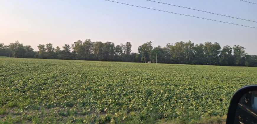 AGRICULTURE LAND FOR SALE LUDHIANA PNB