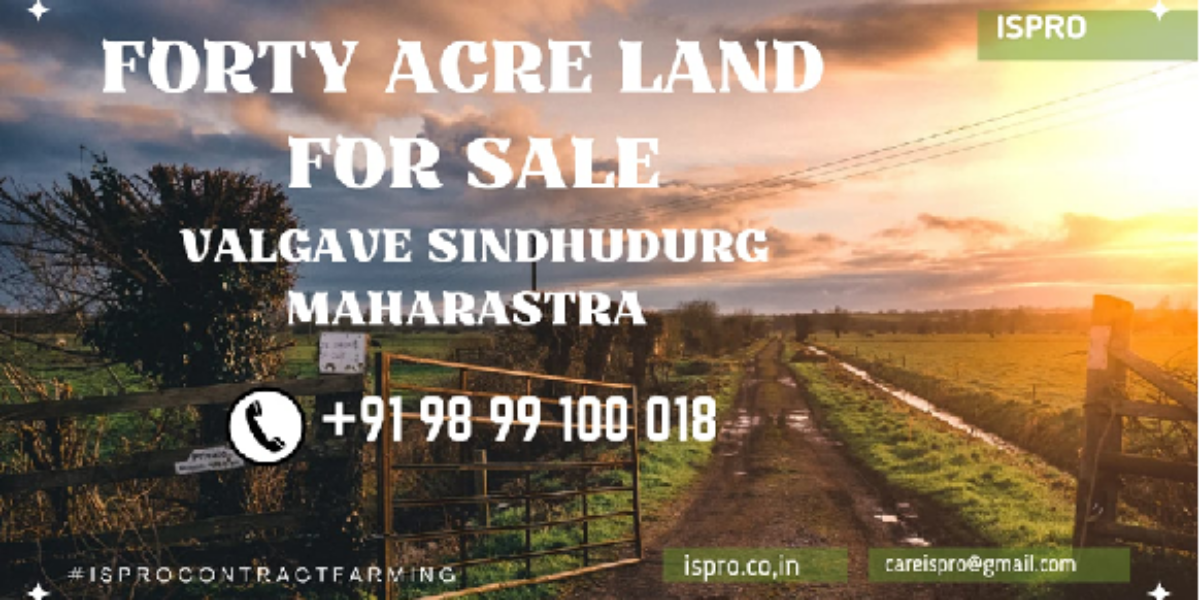 FORTY-ACRE LAND | FOR SALE | AARONDA | SINDHUDURG MAHARASTRA INDIA