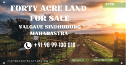 FORTY-ACRE LAND | FOR SALE | AARONDA | SINDHUDURG MAHARASTRA INDIA