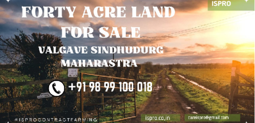 FORTY-ACRE LAND | FOR SALE | AARONDA | SINDHUDURG MAHARASTRA INDIA