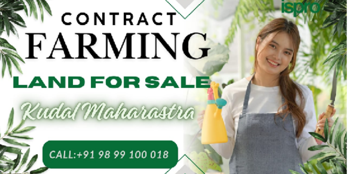 AGRICULTURE LAND | FOR SALE | VASOLI KUDAL MAHARASTRA INDIA