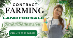 AGRICULTURE LAND | FOR SALE | VASOLI KUDAL MAHARASTRA INDIA