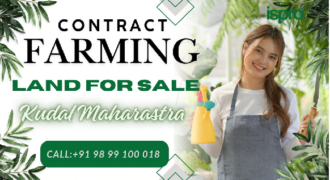 AGRICULTURE LAND | FOR SALE | VASOLI KUDAL MAHARASTRA INDIA